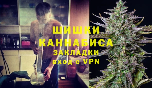 крисы Бугульма