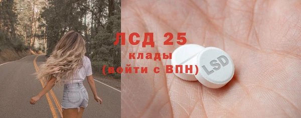 mdpv Бородино
