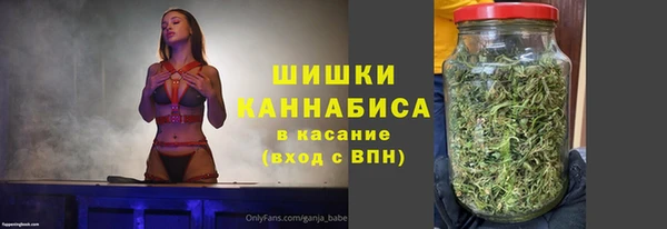крисы Бугульма