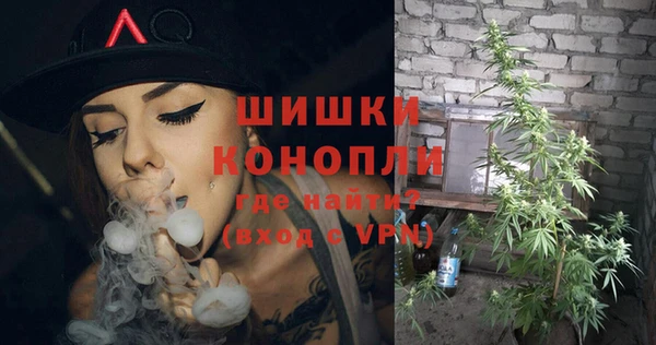 крисы Бугульма