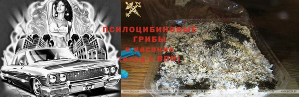 спайс Богородицк