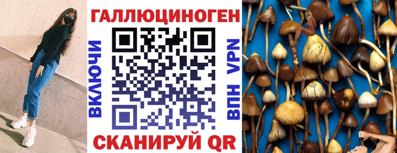 Купить закладки Пошехонье Псилоцибиновые грибы Psilocybe